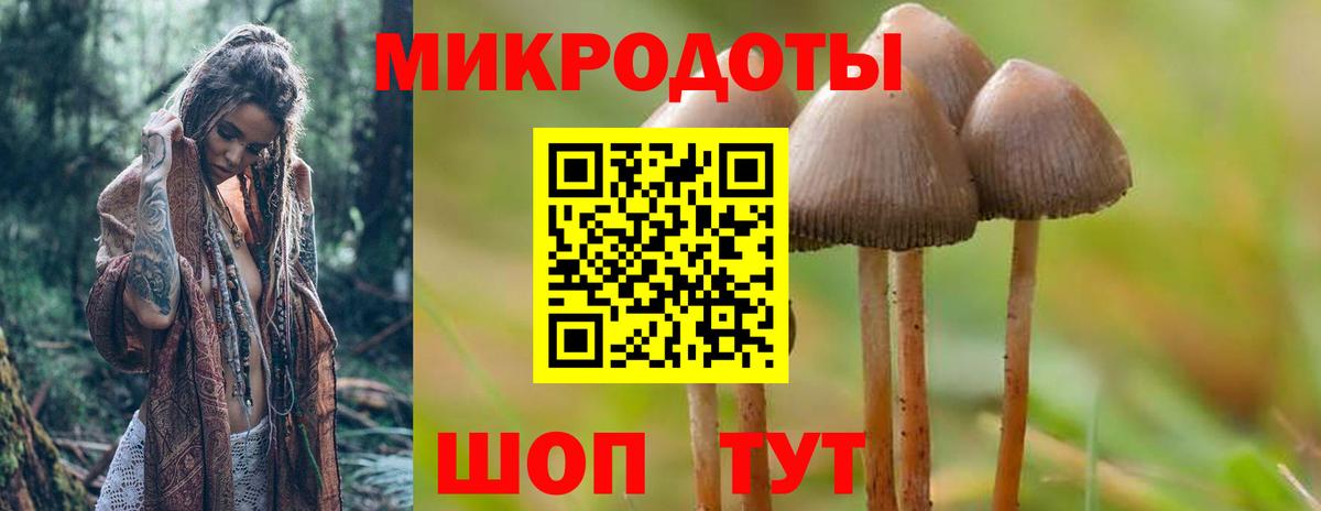 Галлюциногенные грибы ЛСД  как найти   Вход с VPN  Новый Уренгой  Галлюциногенные грибы мухоморы 