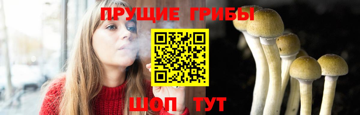 Галлюциногенные грибы Psilocybine cubensis Новый Уренгой